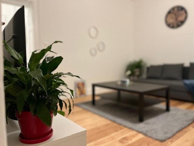 Cosy Rent-Strasbourg Gare 1-Wifi公寓 外观 照片