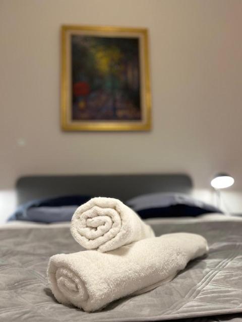 Cosy Rent-Strasbourg Gare 1-Wifi公寓 外观 照片