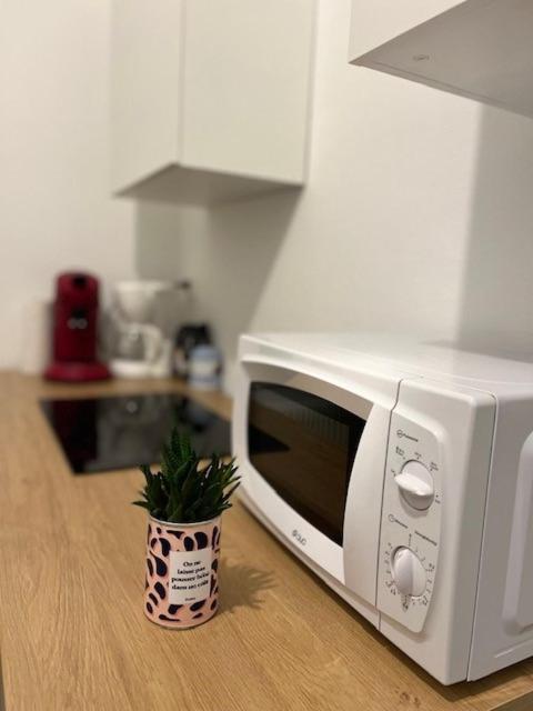 Cosy Rent-Strasbourg Gare 1-Wifi公寓 外观 照片