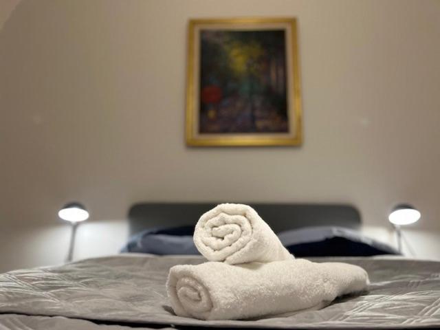 Cosy Rent-Strasbourg Gare 1-Wifi公寓 外观 照片