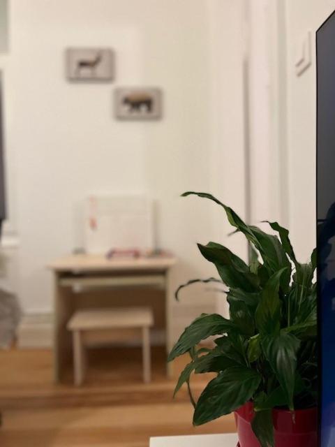Cosy Rent-Strasbourg Gare 1-Wifi公寓 外观 照片